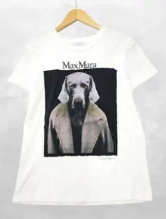 値下げ！新品未使用！MAXMARAドッグ TシャツDOGSTAR Max Mara Dog Star Cotton T-shirt in Gray | Lyst