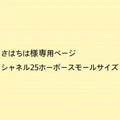 さはちは様専用ページシャネル25ホーボースモールサイズバッグインバッグ