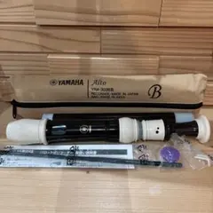 Item thumbnail for item 75c25b71-403b-409e-a1b2-842739f4844d