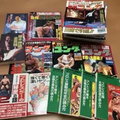 Item thumbnail for item 01d4189d-dc65-41e9-945a-226f7b42c240