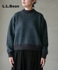 L.L.Bean ウェインセーターバーズアイ ニット　JAPAN EDITION