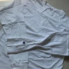 チャンピオン ロンTホワイト RN#15763