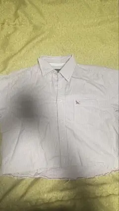 Eddie Bauer 半袖シャツ M ストライプ 短丈