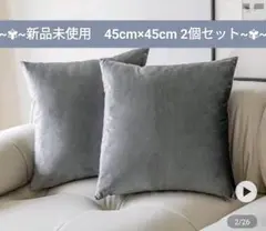 ホテルライク　ベルベット　クッションカバー　ライトグレー　2個セット