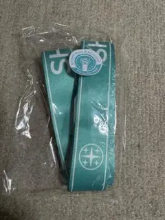 shinee キー key ペンライトカバー キーホルダー SHINee 公式グッズ FANLIGHT MINI DOLL KEY RING / 2024