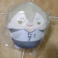 ハイキュー!! くじメイト　ぬいくじ　木葉