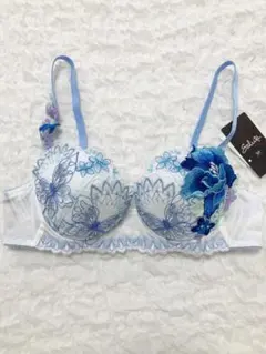 2026年最新】ワコールサルートc75の人気アイテム - メルカリ