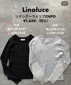 シアートップス ブラック 半袖 ラメ