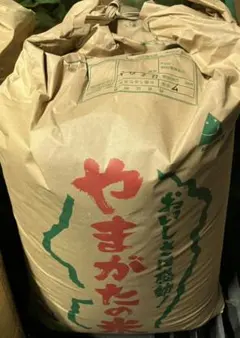 令和7年産米　はえぬき (玄米)30kg 山形県産のサムネイル