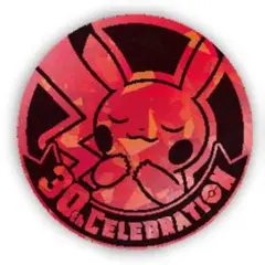 中国限定 ポケモン 30周年 ピカチュウ コイン 仕様⑬ RED ICE