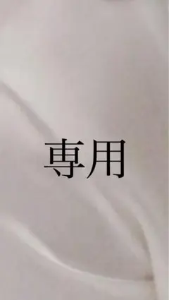専用