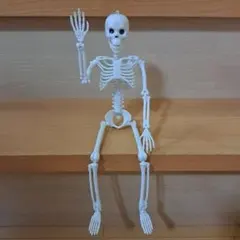骸骨 スケルトン フィギュア キーホルダー