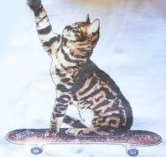 バンズ VANS 猫＋スケボー 裏起毛素材 パーカー