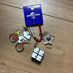 USJ⭐︎スヌーピー キーホルダーのサムネイル
