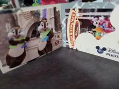 東京ディズニーランド フォトカードセット
