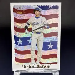 Item thumbnail for item 1fdd2604-99bc-4745-841f-2179d880903b