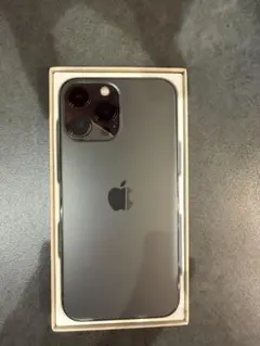 Apple iPhone 13プロマックス本体(256G)新品未使用品✨最安値