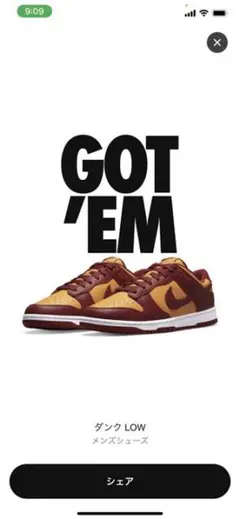 Nike Dunk Low 