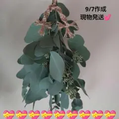 ❤️ポポラスベリースワッグ❤️フレッシュ 現物発送 ベリーいっぱい ユーカリ