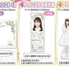 Item thumbnail for item c8831191-324e-4c8b-9c42-b9bea35d695c