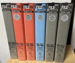 Item thumbnail for item 282db2ab-a4e6-41b6-b1c8-8fef041020fd