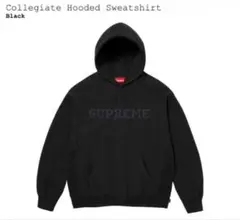 Item thumbnail for item a34fad37-e3cf-44e4-a7a2-68d5c7640b0e