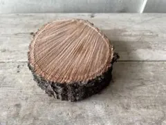 Item thumbnail for item 027de6e2-8e14-446f-87db-9344d6a37c4b