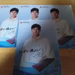 Item thumbnail for item 0c0db872-7d77-4216-ab91-340d96db2d5b