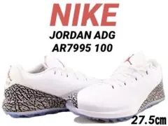 NIKE JORDAN ADG AR7995 100