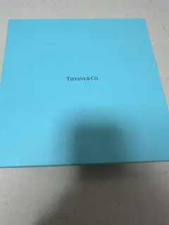 2025年最新】ティファニー 皿 アンパーサンドの人気アイテム - メルカリ