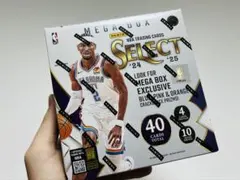 新品未開封 2024-25 NBA Panini Select Mega Box