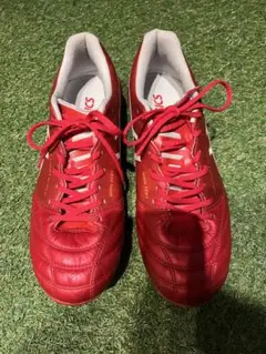 アシックス ASICSサッカー スパイク DS LIGHT X-FLY 5