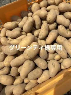 グリーンティ様専用となります