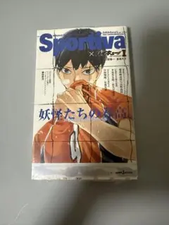 ハイキュー　ショーセツバン1