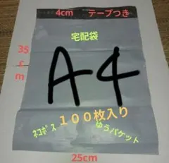 【残り１セットと８０枚！】A4 宅配袋 100枚入り 防水 テープ付き