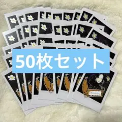 &TEAM Back to Life FUMA フウマ チェキ風カード