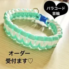 犬首輪　パラコード　ハンドメイド