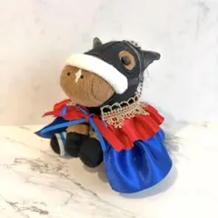 アイドルホース❣️ドレス❣️マント❣️タキシード❣️ - メルカリ