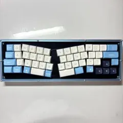 REALFORCE 純正カラーキートップセット R2-JP-KT-PL 完品 - メルカリ