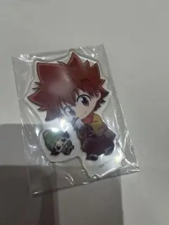 家庭教師ヒットマンREBORN！ くらっくじ 沢田綱吉 リボーン D賞アクスタ