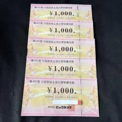 ビックカメラ 優待券5000円分