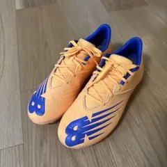 Item thumbnail for item 8a8ffae2-e3f6-4828-afd2-497bdcdd7ad6