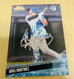 Item thumbnail for item 0bdeeeea-5c8f-40df-9c39-404cf9308a79