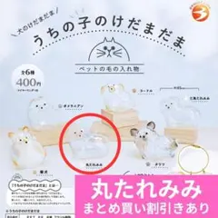 うちの子のけだまだま 犬のけだまだま ＜丸たれみみ＞ 正規品 ブライトリンク