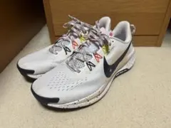NIKE ペガサス トレイル　28cm