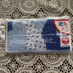 JAL エモーショナルスカイ ミニタオル ポーチ付のサムネイル