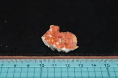 ブルーム様 リクエスト 3点 まとめ商品