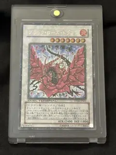 【遊戯王】ブラック・ローズ・ドラゴン