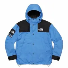 Supreme x The North Face Mountain Jacket