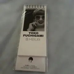 クリエイターズ・ファイル 日めくり YOKO FUCHIGAMI 日MEKURI